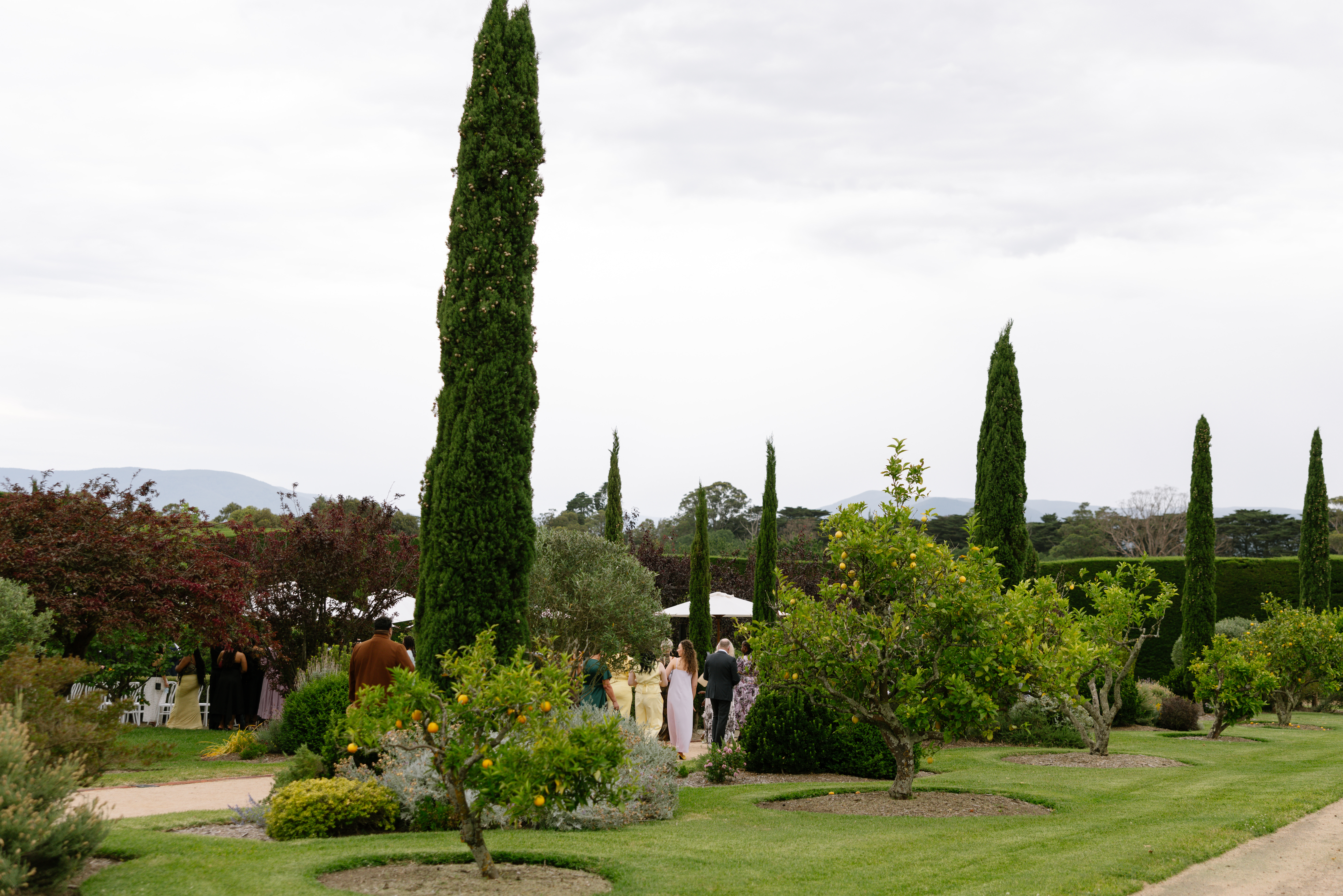 landscape portrait of gardens at Coombe Yarra Valley wedding venue